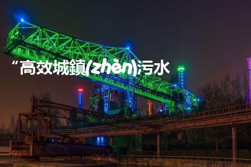“高效城鎮(zhèn)污水處理流程，守護(hù)碧水藍(lán)天新篇章”